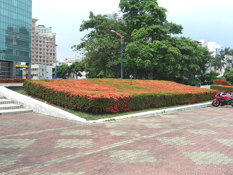 P1000889